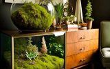 rustic-diy-terrarium-cabinet-display