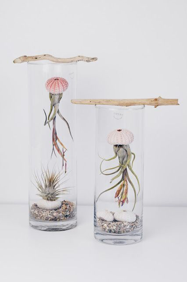 gorgeous-tiny-air-plant-decor-ideas
