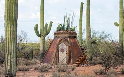 tiny-cabin-landscapes-in-the-sonoran-desert