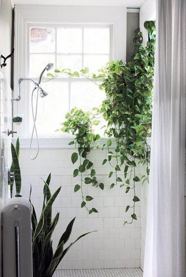 beautiful-bathroom-vines-in-window
