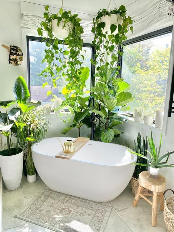 open-bathtub-with-vines-plant