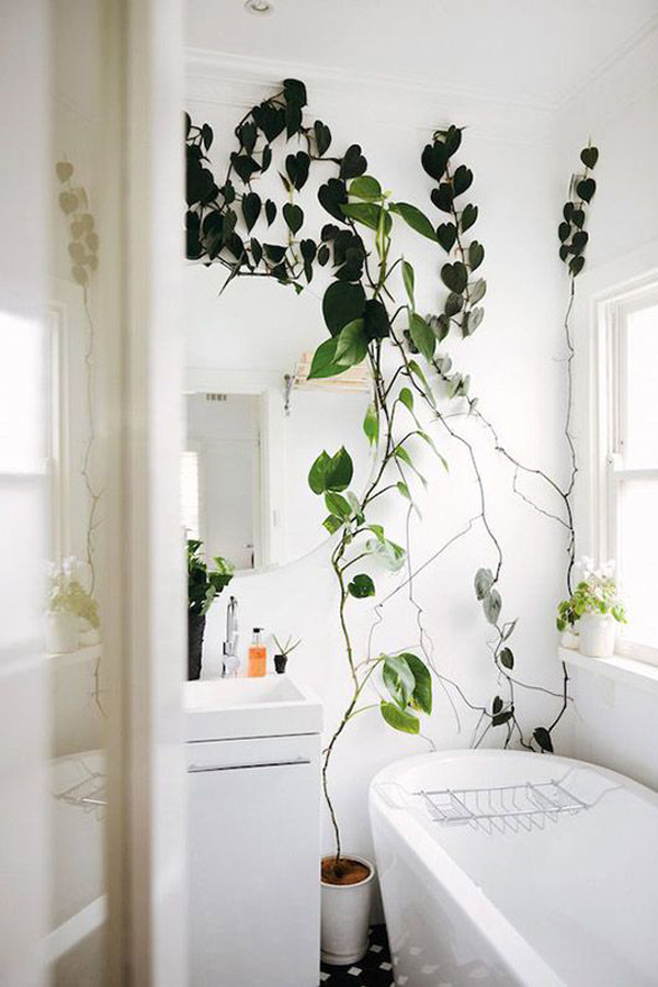 rustic-and-tiny-bathroom-with-vines-decor