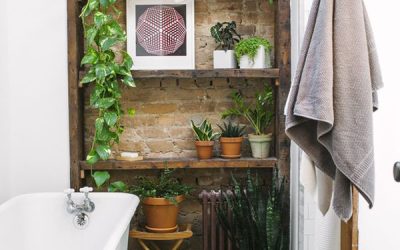 small-bathroom-with-built-rack-and-vines