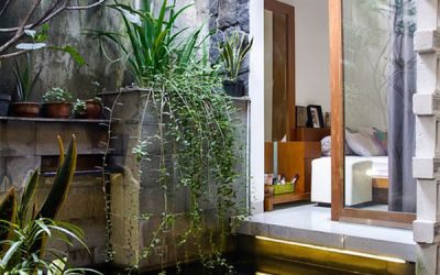 small-koi-pond-with-sliding-glass-door