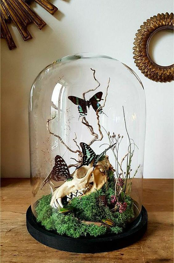 beautiful-halloween-terrarium-with-skull-branches-and-butterfly