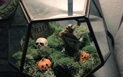 black-halloween-graveyard-terrariums