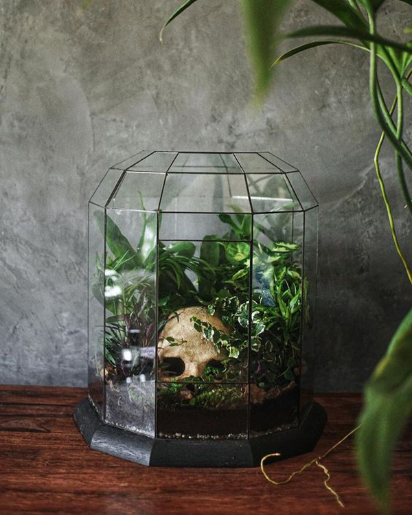 vintage-halloween-terrariums-with-greenery-and-skull