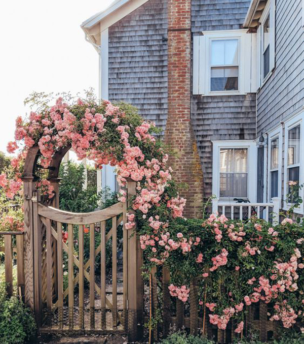 flower-vines-fence-garden-ideas