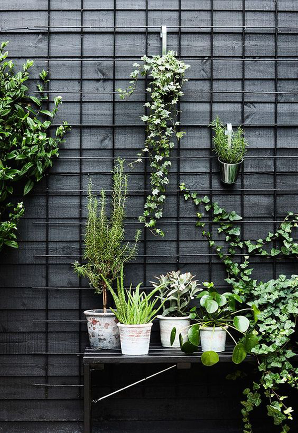 grid-fence-vines-garden-decor