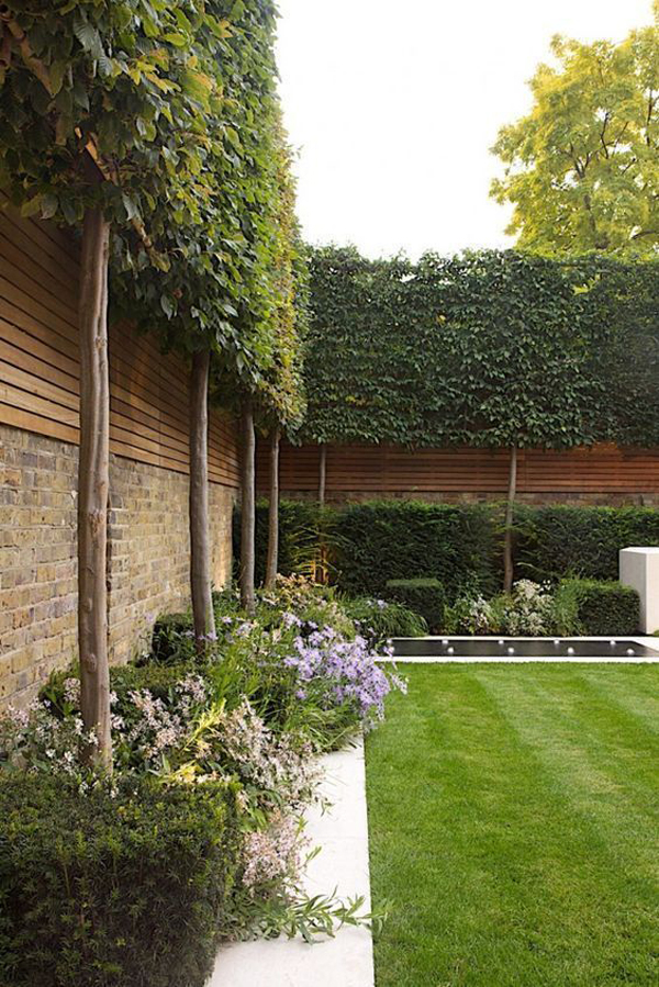 large-tree-fence-garden-ideas