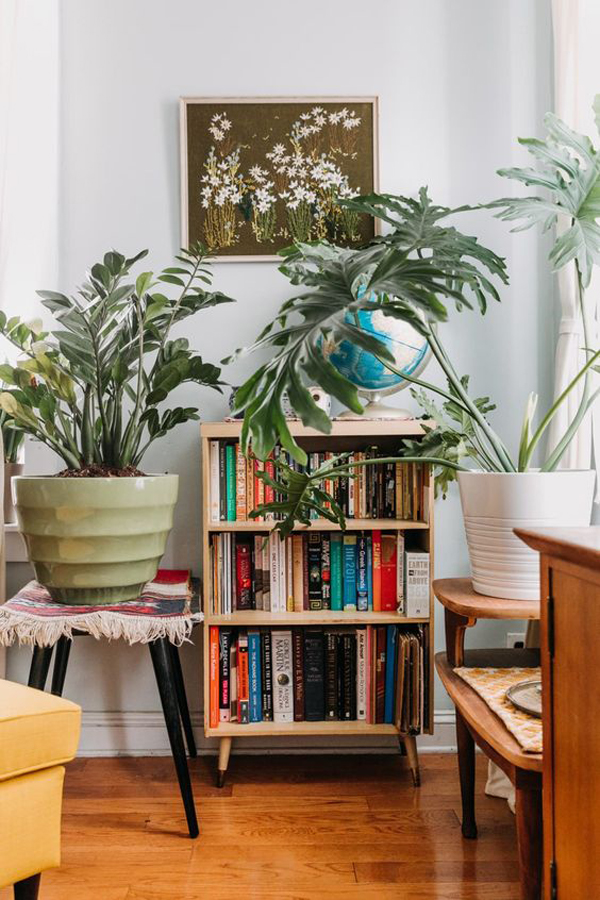 small-bookshelf-cabinet-with-indoor-plants