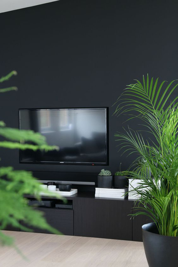 black-men-tv-room-with-indoor-plants