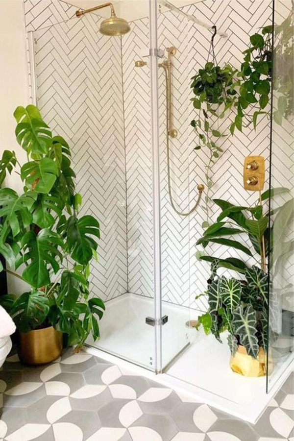 tropical-shower-plants-for-small-spaces