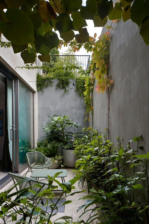 contempory-small-backyard-with-lush-planters