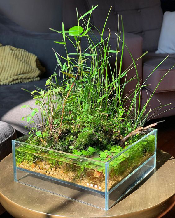 20 Awesome Mini Water Gardens For Your Indoor