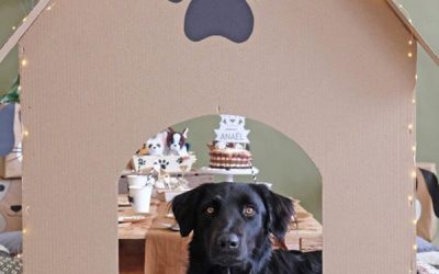 easy diy dog cardboard house with tumblr