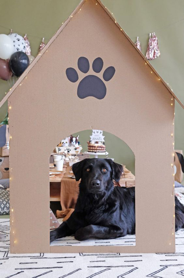 easy diy dog cardboard house with tumblr