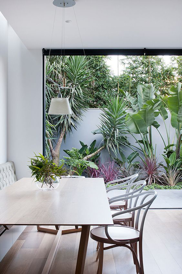 modern tropical dining area with large glass window