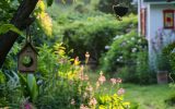 cottage style garden with hanging birdhouses