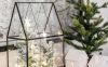 modern traditional christmas terrarium ideas