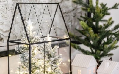 modern traditional christmas terrarium ideas