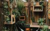 backyard jungle catio ideas