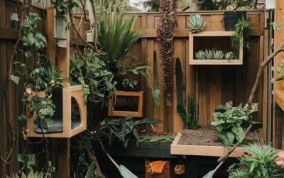 backyard jungle catio ideas