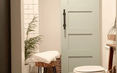 cool bathroom door design